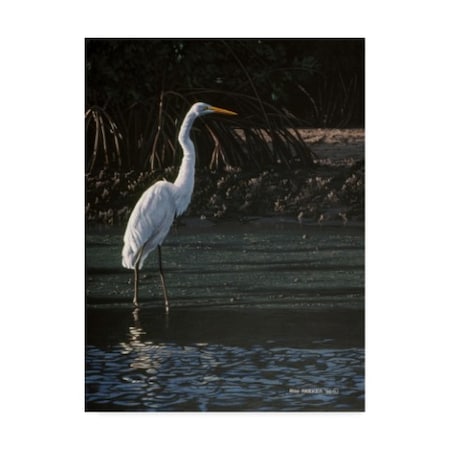 Ron Parker 'Great Egret' Canvas Art,24x32